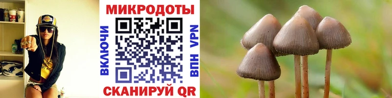 Псилоцибиновые грибы Psilocybe  OMG ONION  Чернушка 