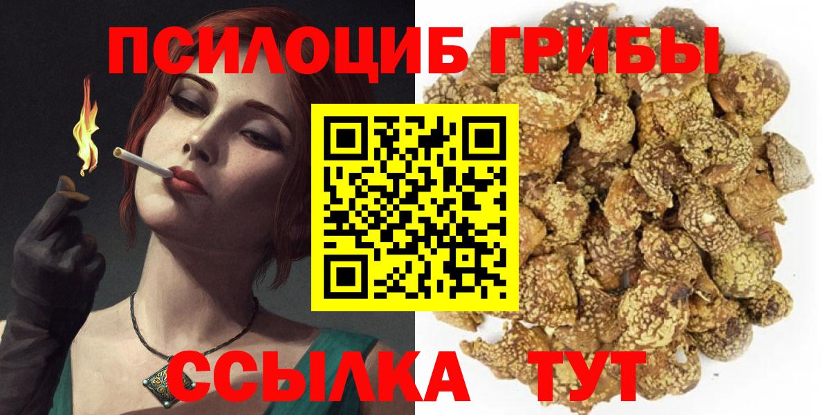 Псилоцибиновые грибы мицелий Чернушка
