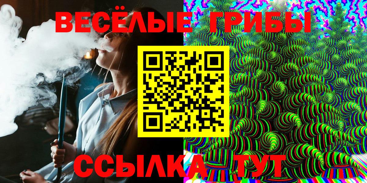 Галлюциногенные грибы Magic Shrooms  Псилоцибиновые грибы Cubensis  Чернушка 